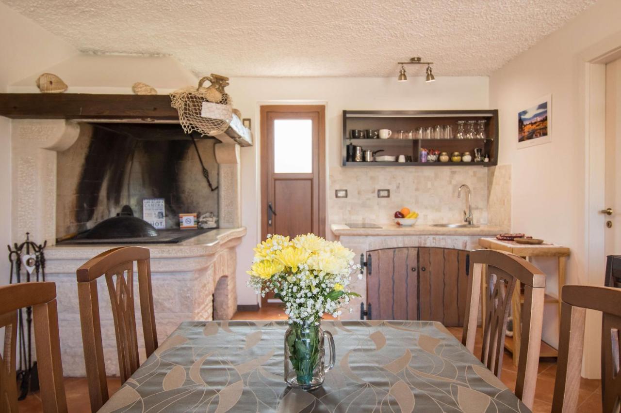 Ferienwohnung Alek Novigrad Istria Exterior foto